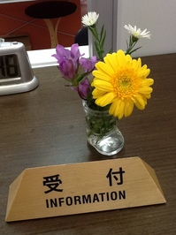 20121112花.JPG